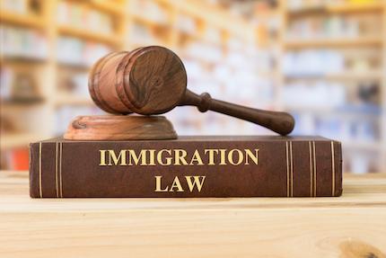 sponsorship and immigration lawyer